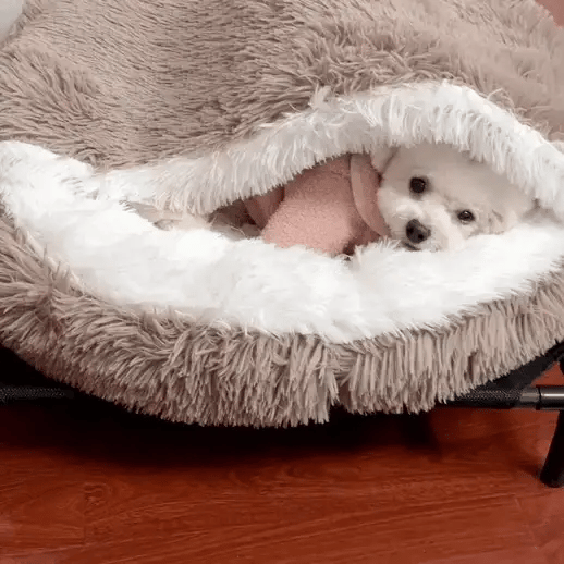 Le lit Cocon Woomfy™️ anti-stress pour chien