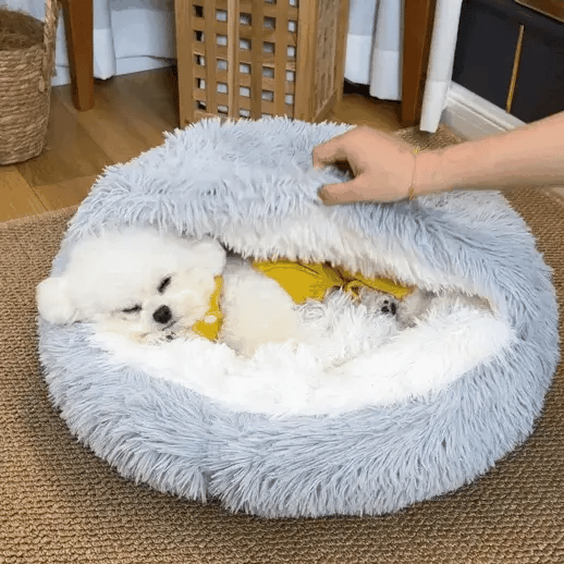 Le lit Cocon Woomfy™️ anti-stress pour chien